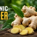 Organic Ginger