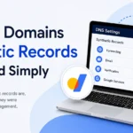Google Domains Synthetic Records